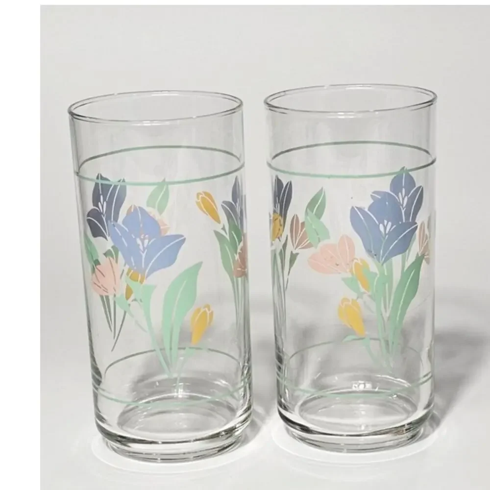 Vintage Pastel Corelle Coordinates Friendship Pattern Crisa Glass Tumblers Set